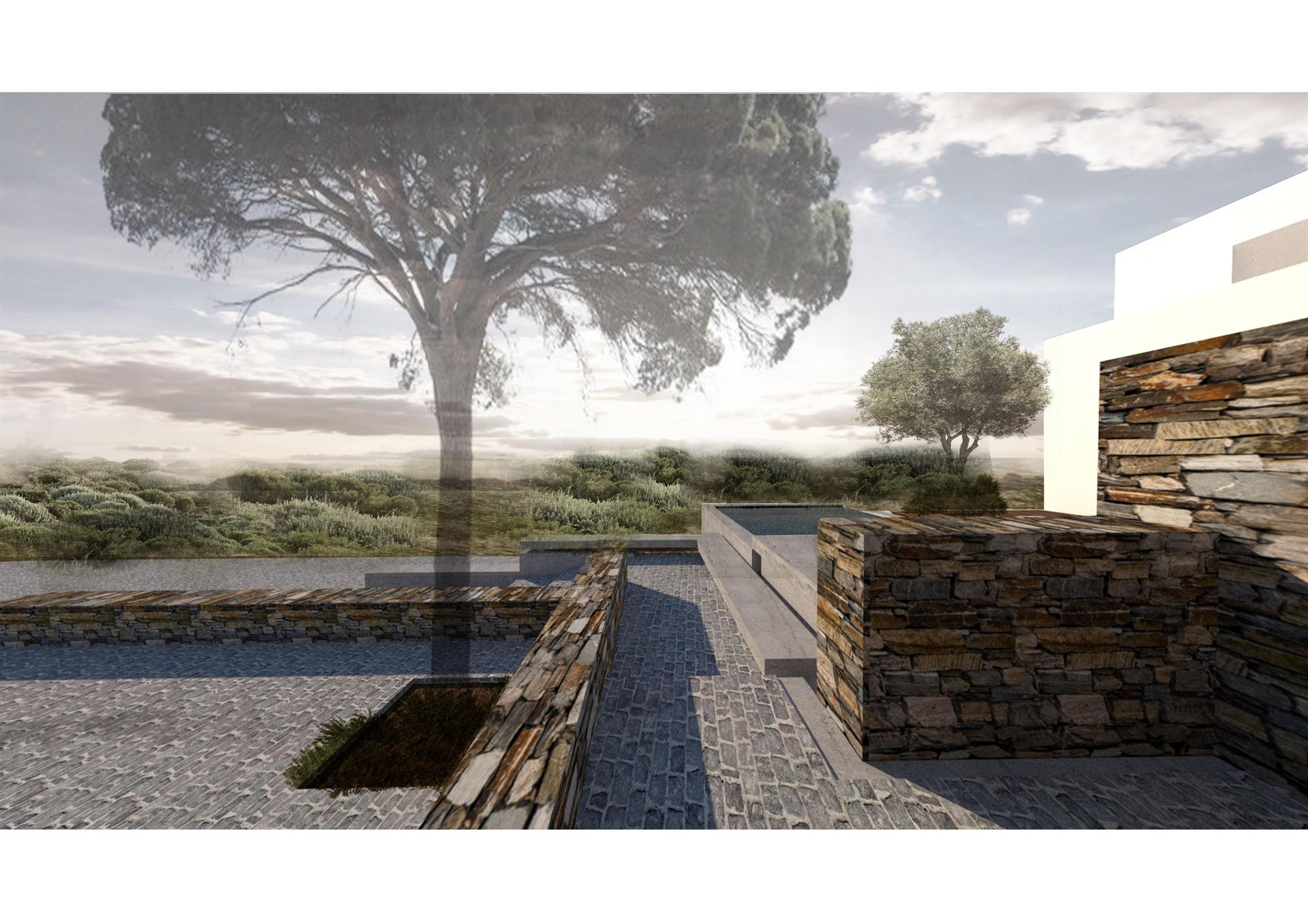 Menta gallery image